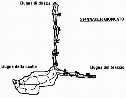[Immagine: 2013626122648_spinnaker giuncato.gif]